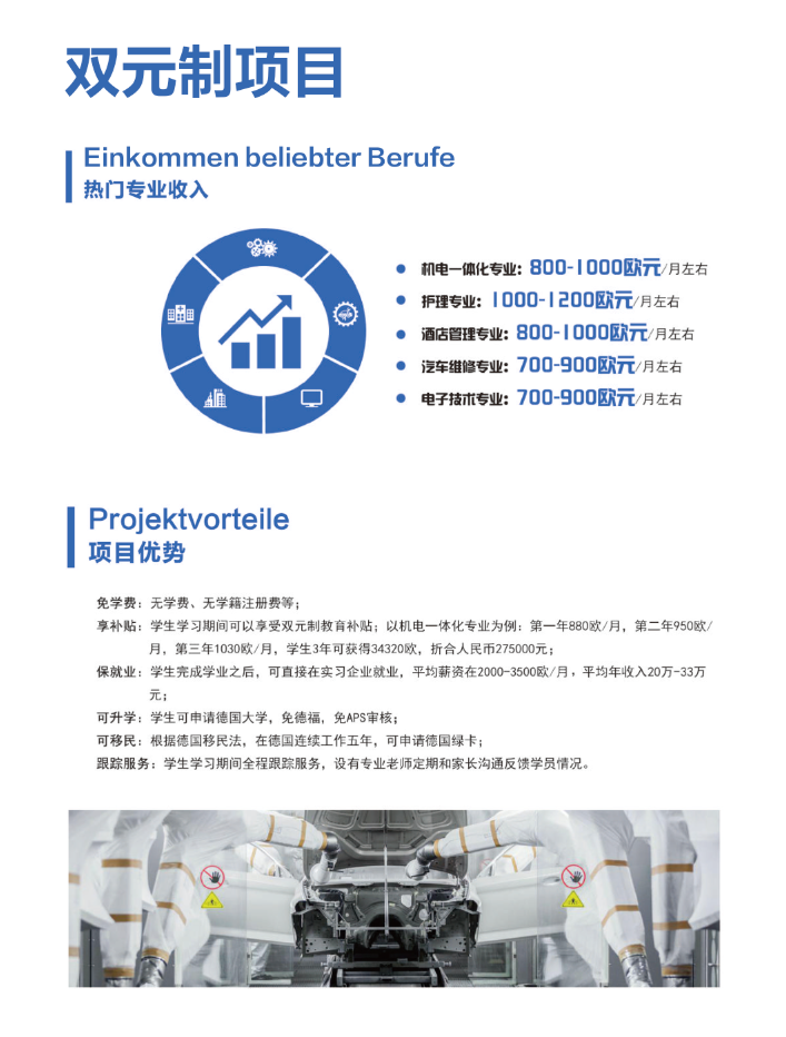 双元制教育_https://www.aery-deyu.com_特色项目_第1张